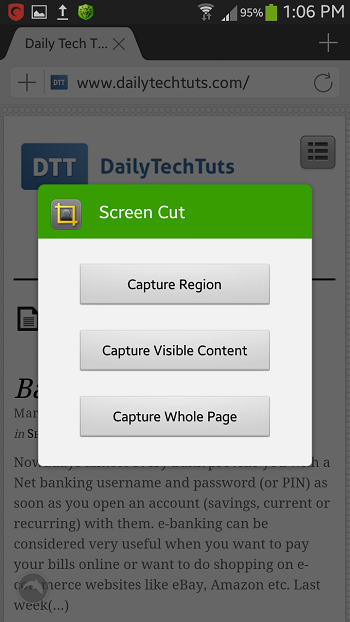 screen cut capture options
